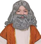 Forum Novelties Child's Biblical Wig Beard Set, Gray