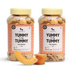 Heads Up For Tails Yummy in My Tummy Pumpkin & Carrots - 320 gm | Vegetarian Dog Biscuits | All Life Stages | Dog Treats | Crunchy Dog Biscuits | Pack of 2