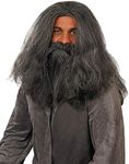 Fun Shack Gray Wig Wizard Beard and Wig Halloween Costumes For Men