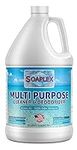 Multi-Purpose Cleaner & Deodorizer 