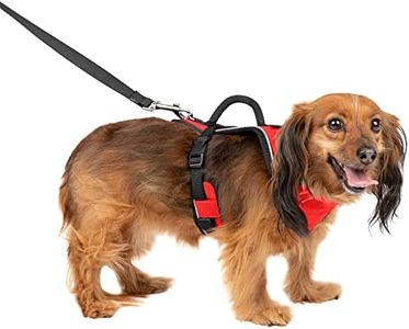 PetSafe Ea