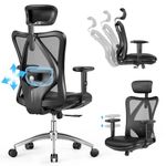 Orthopedic Office Chair Back Pain