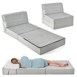 Guest Sleeper Sofa