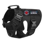 PET PEPPER Premium Dog Harness - Military Standard Metal Buckles || Free Velcro Patches || No-Pull Dog Vest || Breathable Mesh || Oxford Fabric || For All Dog Breeds (Black, L), Large