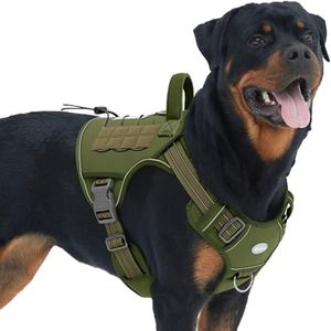 Auroth Tac