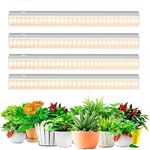 Grow Lights for Indoor Plants, MOYA