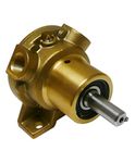 Jabsco 2620-1101 Bronze Marine Flexible Impeller Pump Neoprene Impeller, Pully Drive, 3/8 inch NPT, 45-Degree Angle Ports