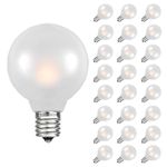 Novelty Lights 25 Pack G40 LED Decorative Bulbs, String Lights Durable Shatterproof Plastic LED Bulbs with 10,000 Hour Lifespan, Outdoor Lights Patio Decor (Frosted Warm White)