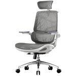 SIHOO M59AS Ergonomic Office Chair, Desk Chair with 3D Coordinated Flip-up Armrests, Computer Chair with Dual Back Design and Adaptive Dynamic Lumbar Support(Grey)