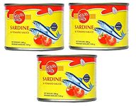 Golden Prize Sardine in Tomato Sauce 200Gms Each - Pack of 3 Units