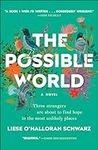 The Possible World: A Novel
