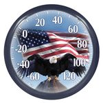 Taylor Precision Springfield Outdoor Thermometer, 13.25-Inch, Bald Eagle