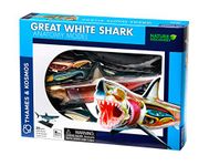 Thames & Kosmos Nature Discovery: Great White Shark Anatomy Model, Kids Science Kit, Learning Resources for Anatomy, 3D Anatomy Kit, Age 8+