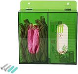 Green Acrylic Glove Box Holder, Wal