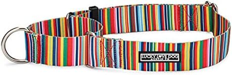 Lucky Love Dog Wide Martingale Dog 