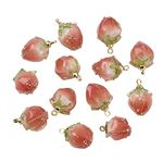 BEEFLYING 10pcs Transparent Acrylic Pink Flower Rose Bud Charms Pendants for Jewelry Making Earrings Necklaces Bracelets, Small, Resin, No Gemstone