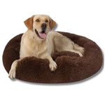 ZEXSAZONE Comfortable Durable Both Sides usable and Washable Pet Bed | Cat Bed | Puppy Bed | Dog Bed | Medium Dog Bed for Cats Puppies Labrador German Shepherd Medium Size Pets