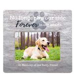 BANBERRY DESIGNS Pet Loss Memorial Frame - No Longer by My Side Forever in My Heart Loving Sentiment in Memory of Our Furry Friend - Light Gray Wood Like Background with a Big Pawprint Design - 4 X 6