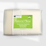 All Natural Latex Pillow with Organic Cotton Outer Covering (Standard- Soft) by OrganicTextiles