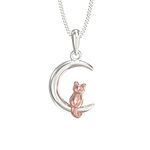 Aeon Jewellery Cat & Moon Necklace - 925 Sterling Silver & Rose Gold Plated | Adjustable 16-18 Inch Chain | Polishing Cloth & Gift Box