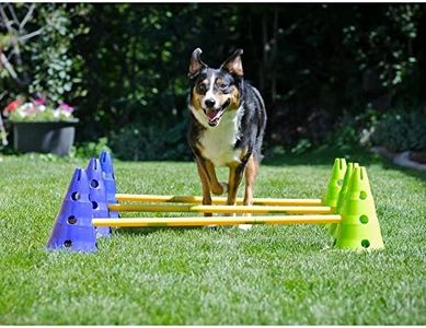 DOG Copenhagen FITPAWS Canine Gym Agility Kit Accessoire Education pour Chien