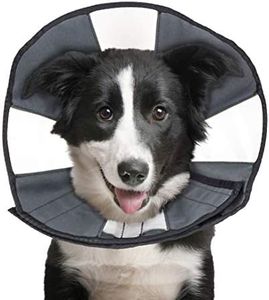 Zenpet Cone Dog Collar, Large