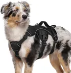 rabbitgoo Escape Proof Dog Harness,