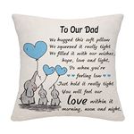 Dad Gifts from Daughter Son Daddy Father Dad Throw Pillow Cover Gift for Dad from Children Thanksgiving (DAD-WE)