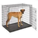 Midwest Homes for Pets SL54DD Ginormus Double Door Dog Crate for XXL for The Largest Dogs Breeds, Great Dane, Mastiff, St. Bernard, Black