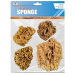 Royal Brush Multicraft Imports R2090 Natural Ocean Artist Sponges (4 Pack)