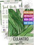 Seed Needs Culantro Seeds for Planting - Non-GMO, Heirloom & Untreated - Culinary/Medicinal Herb to Organically Grow an Indoor/Outdoor Garden - Saw Leaf Coriander (1 Pack)