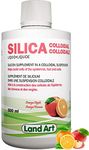 Liquid Silica Supplement - 500ml - For Skin, Hair and Nails - Great Taste - Fast Absorption - Vegan - Non-GMO –Gluten Free– Sugar Free – 33 Doses - Made in Canada