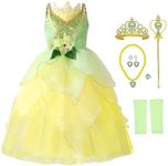 MDYCW Princess Tiana Fairy Costume 