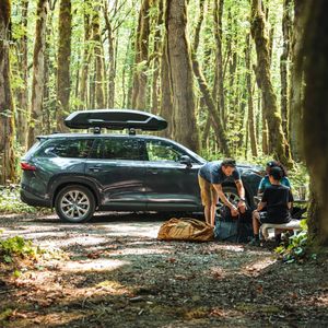 Thule Force 3 Cargo Box M – Black Roof Storage Carrier