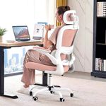 TRALT Office Chair Ergonomic Desk C