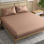 Trance Home Linen 100% Egyptian Cotton 300TC Long Staple Jacquard Weave Fitted Bedsheet with 2 Pillow Covers - (84 x 72 inch, Apricot)