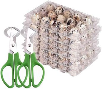 Quail Egg Cartons,custom quail egg cartons,Quail Egg Cartons, Small Eggs Carton Holders,quail egg cartons,quail egg curtains,quail egg hatching trays,quail egg holder countertop,quail egg scissors