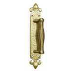 Adonai Hardware "Achaz Brass Door Pull with Back Plate (1, Satin Brass)