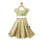 Piccolo, Floral Print Lehenga with Choli, Ethnic Wear Lehenga Cholis, Sleeveless Blouse, Traditional Dress for Girls (Color – Green)