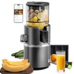 Anybear Cold Press Juicer with 4.9" Large Feed Chute, 350W Masticating Juicer Machines with Dual Slow-Squeezing Technology for Whole Fruits & Veggies with High Yield | BPA-Free Tritan (Gray)