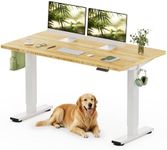 FLEXISPOT Adjustable Desk, Electric