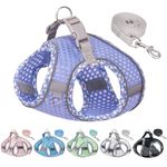 JOYPAWS Step in Dog Harness and Leash Set, No Pull Escape Proof Vest Harness with Soft Diamond Mesh and Reflective Bands, Adjustable Pet Outdoor Harnesses for Medium Size Dogs Lavender M