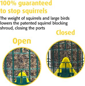Jacobi Jayne Squirrel Buster Finch Bird Feeder – Squirrel & Pigeon Proof, Easy Clean, for Niger Seeds