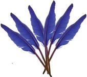 Touch of Nature 38170 Indian Feather, 10 to 12-Inch, Royal Blue