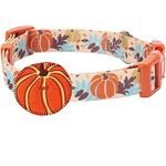 Blueberry Pet Thanksgiving Fall Harvest Festival Pumpkin Designer Dog Collar with Decoration, Medium, Neck 14.5"-20", Adjustable Collars for Dogs