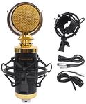 Rockville RCM02 Pro Studio Recording Condenser Microphone Mic Plus Metal Shock Mount