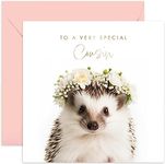 Old English Co. Hedgehog Very Special Cousin Card - Hedgehog Floral Cute Birthday Card for Her - Cute Well Done Congratulations Cards for Cousin from Family Friends | Blank Inside with Envelope…