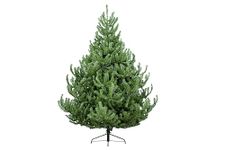 Christmas Tree World | 5ft Artificial Unlit Mountain Pine | Natural and Realistic Look with Bushy and Luxury Quality PVC Tips | Easy to Assemble and Take Down | 117cm Diameter