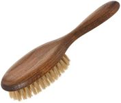 Redecker Natural Pig Bristle Cat Brush with Varnished Beechwood Handle, 7-1/4-Inches