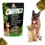 WiggleBoo Chicken & Spinach Dog Treat | Protein Rich | Fiber Rich | Crunchy Healthy Snacks | 250g